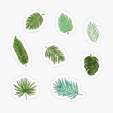 Venta online de papeles de pared pintados de las mejores marcas. Tropical Monstera Leaf Sticker Set Sticker By Geolescent Aesthetic Stickers Scrapbook Stickers Printable Homemade Stickers