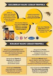 Seperti madu pada umumnya, khasiatnya sudah tak diragukan lagi! Madu Asli Kelebihannya Kepada Dr Norman Norawi Facebook