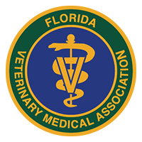 Our team is uniquely equipped to provide complete care for your pet onsite at the practice. Lake Worth Animal Hospital The Finest In Veterinary Care