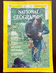 Pin On Gorillas