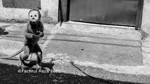 #10 other governments are banning plastic bags, so yours should too… or at least make people pay for them. Topeng Monyet Traditional Art Street Attraction Hive