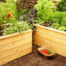 Building your own raised garden bed indeed requires much more planning than a traditional backyard garden. Build Self Watering Planters Diy Family Handyman