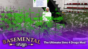 Il s'agit d'introduire de la drogue dans le jeu. Mods The Sims 4 Basemental Drugs Seja Traficante Nerd E Aleatorio