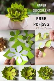 Complete guide how to make paper lanternshere is a simple but complete tutorial how to make paper lanterns. 180 Cactus Flower Ideas Cactus Cactus Flower Paper Plants