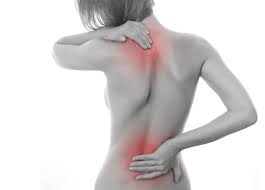 See more ideas about anatomy, anatomy reference, anatomy drawing. Debunking Myths On Back Neck Problems Prime Life Vt