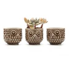 Shop ceramic canisters at horchow, and browse our fantastic selection of luxury home furnishings, elegant decor, gifts & more. T4u 2 75 Ceramic Owl Pattern Sucuulent Cactus Plant Pots Flower Pots Planters Containers Window Boxes With Small Hole Brown Set Of 3 Buy Online In Cayman Islands At Cayman Desertcart Com Productid 46518463