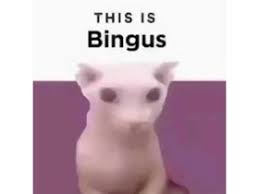 Bingusbot offers a rich amount of image manipulation based fun commands. Bingus On Scratch On Scratch