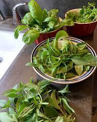 Aerogarden Harvest Review From Setup To Herbs In 1 Month Harvesting Herbs Aerogarden Herbs Indoors