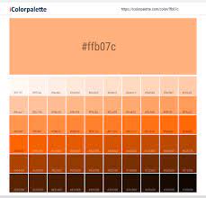 Peach tends to be associated with. Hex Color Code Ffb07c Peach Color Information Hsl Rgb Pantone