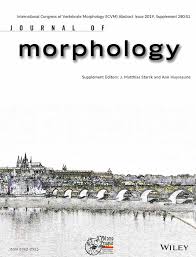 Made up of three or more religious groups. Abstracts 2019 Journal Of Morphology Wiley Online Library