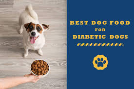 To begin we must find all the ingredients of this diet special diet food for diabetic dogs. Best Dog Food For Diabetic Dogs In 2021 Reviews Buyer Guide