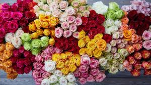 Add business hours, photos and much more. Floral