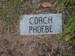 Walter Robert Phythian Sr. (1911-1996)