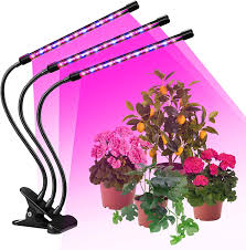 Save money and grow more with toggled gro led. Fenbao Indoor Plants Led Grow Light Reviews Wayfair
