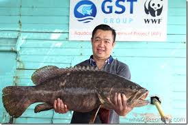 Best viewed in google chrome © 2021 universiti tunku abdul rahman du012(a). Shangri La S Rasa Sayang Resort Spa And Golden Sands Resort Penang Launched Rooted In Nature Campaign What2seeonline Com