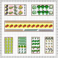 You will receive pdf plans to build your own 4' x 8 ' x 32.5 (actual internal measurements 37x95) and 4' x 4' x 19.5 (actual internal measurements 37x41½) raised beds. Vegetable Garden Layout Basics Veggie Gardener Forum
