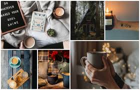 Fond d'écranclassé sous :arbre , environnement , végétal. 1001 Idees Et Images Pour Votre Fond D Ecran Cocooning