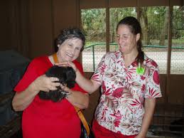 Jo Anne McAuliffe Obituary