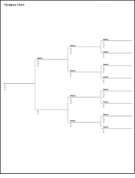 Blank Dog Diagram Catalogue Of Schemas