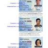 Children of chinese citizens born in the us. Https Encrypted Tbn0 Gstatic Com Images Q Tbn And9gctc9dhaktakgphb6wkvodtzcropejwedqtlr0pq 9byksct 0gw Usqp Cau