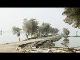The eerie scenes came as a surprise. Spider Webs Nature S Weirdest Events Episode 3 Bbc Two Youtube