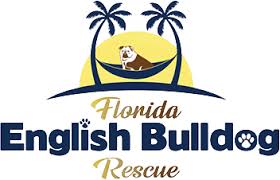 Florida english bulldog rescue, odessa, florida. Florida English Bulldog Rescue