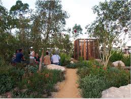 Lovely Pathways Through Native Garden Beds Australian Garden Melbourne Garden Australian Native Garden