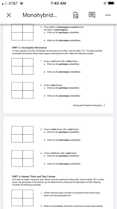 Learn vocabulary, terms and more with what is a monohybrid cross? Solved Monohybrid Cross Practice Some Ideas Refreshed Chegg Com