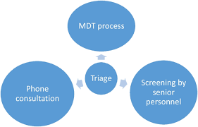 Clinical indications and triaging for adult transthoracic echocardiography:  a statement by the British Society of Echocardiography