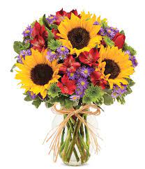 Brighten someone's day with beautiful flowers, personalized gifts & more. European Floral Garden Flowersusa Net
