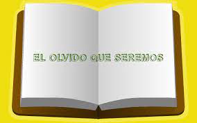 Casi todo lo que he escrito lo he escrito para alguien que no puede leerme, y este mismo libro no es otra cosa que la carta a una sombra; El Olvido Que Seremos By