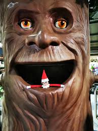 Reuben And Timmy The Talking Tree Are Hollybush Garden Centre Aquaria Facebook