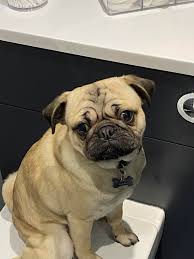 Anyone got time to make this Christmas 🎅 😍