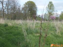A A Deux Kilometres De Veules Roses Dans Environnement Calme Et Paisible Veronica Lile Agent Mandataire 06 15 19 2 Bord De Mer Vente Terrain Terrain A Batir