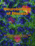 Neurobiology Of Disease Wikipedia