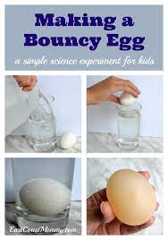 East Coast Mommy Making A Bouncy Egg A Fun And Simple Science Experiment For Kids