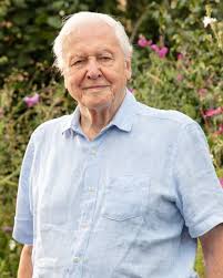 The BBC has commissioned three programs to mark Sir David Attenborough's  upcoming 100th birthday on May 8, including the behind-the-scenes doc  “Making Life on Earth: Attenborough's Greatest Adventure,” the nature  series “Secret