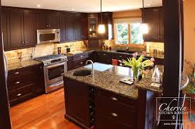 Kitchen 5 Chervin Kitchens Dark Kitchen Cabinets Modern Kitchen Kitchen Cabinet Design