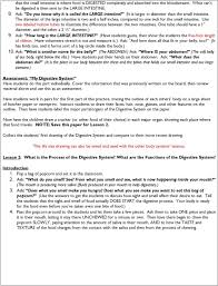 Digestive system packet answersglands or organs in the digestive system (no food passes through). Digestive System Grade 3 5 Pdf Free Download