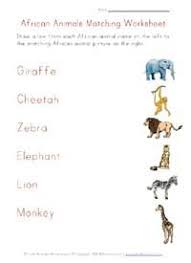 Animals Worksheets African Animals Animal Worksheets African Animals Africa Animals