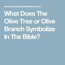 What Does The Olive Tree Or Olive Branch Symbolize In The Bible Olive Branch Olive Tree Olive Branch Tattoo