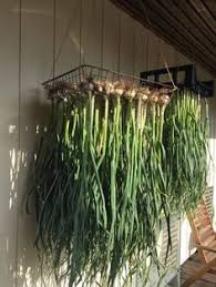 When to plant vegetables in salt lake city, ut. 600 Utah Gardening Ideas In 2021 Veggie Garden Utah Gardening Vegetable Garden
