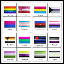 Archive for all the pride flags. 2020 Lgbtq Pride Month Flags Gay Rainbow Lesbian Bisexual Transgender Pansexual Demisexual Polyamory Genderfluid Bear Polysexual Gender Quee Genderquee Leather Asexual Aromantic Agender Flag Wish