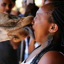 Creative Writing Forum