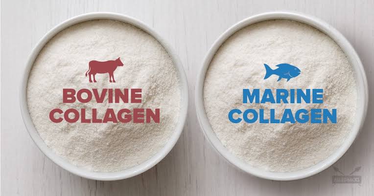 Bovine Collagen vs. Marine Collagen: The Difference and Useful Tips