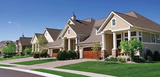 Find out more about our services and schedule a free inspection today! Pest Control Company Termites Bed Bugs Rodents More Palm Bay Fl Asap Pest Solutions Inc