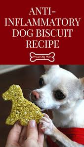 Anti Inflammatory Dog Biscuit Recipe Homemade Dog Treats Gluten Free Dog T Recettes De Biscuits Pour Chien Nourriture Maison Pour Chien Recettes Pour Chien