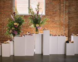 Image result for Plinthus