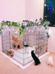 A few years later, we expanded the rescue to include cats and in 2010 we expanded again to include dogs. 900 Pets Diy Small Animal Houses Ideas Bunny Cages Rabbit Hutches Bunny House
