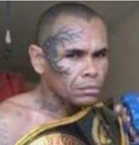 We did not find results for: Daniel Saboia Boxer